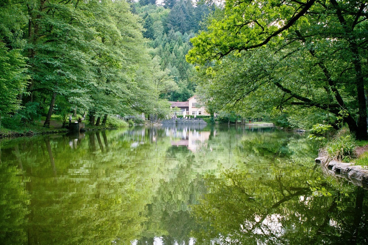 (c) Waldsee-freiburg.de